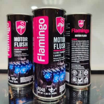 Flamingo Motor Flush_img_2