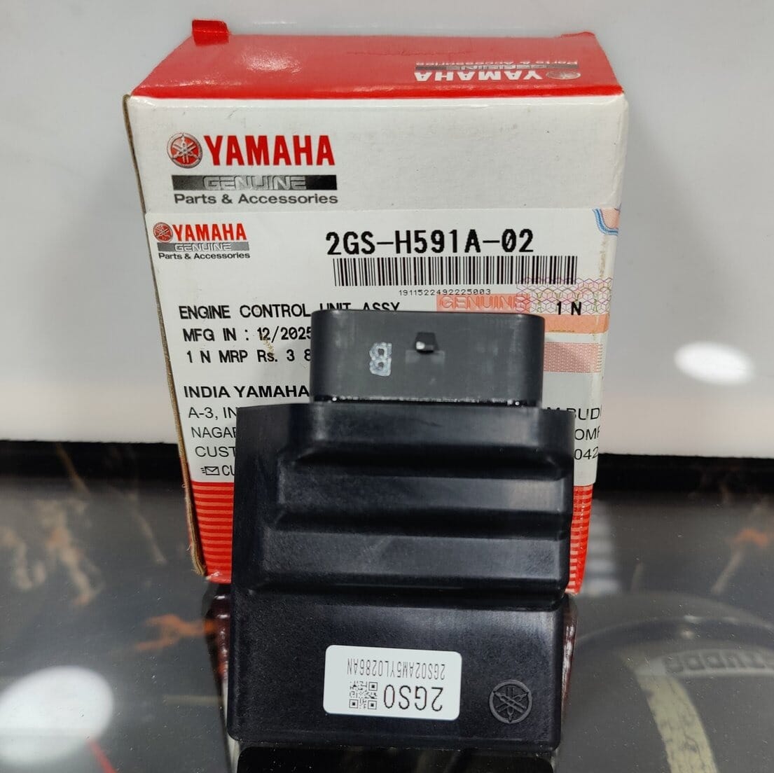 ECO/CDI Unit FZS-V2