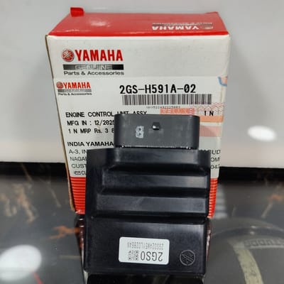 ECO/CDI Unit FZS-V2_img_0